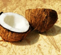 Nuca de cocos protejează ficatul de vicii
